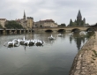 20180913-IMG_3790