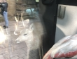 20180913-IMG_3799