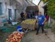 Pressée des hameaux met heel veel appeltjes