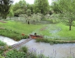 Veel regen gehad, de tuin bij Jos en Loeloe is overstroomd!