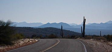 Vergezicht in de Sonoran Desert